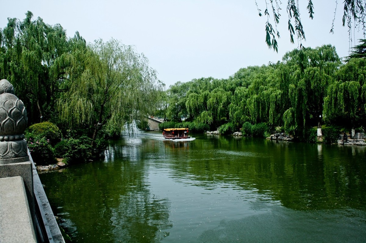 随拍——明湖初夏（三）