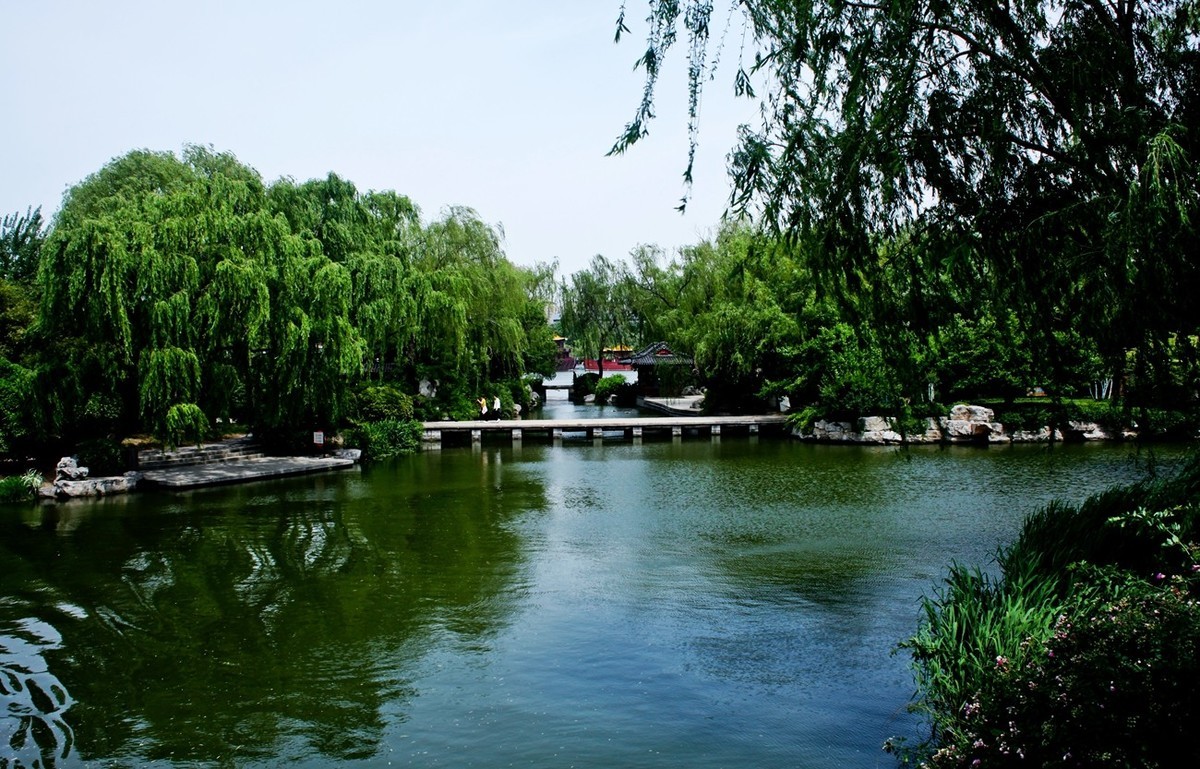 随拍——明湖初夏（三）