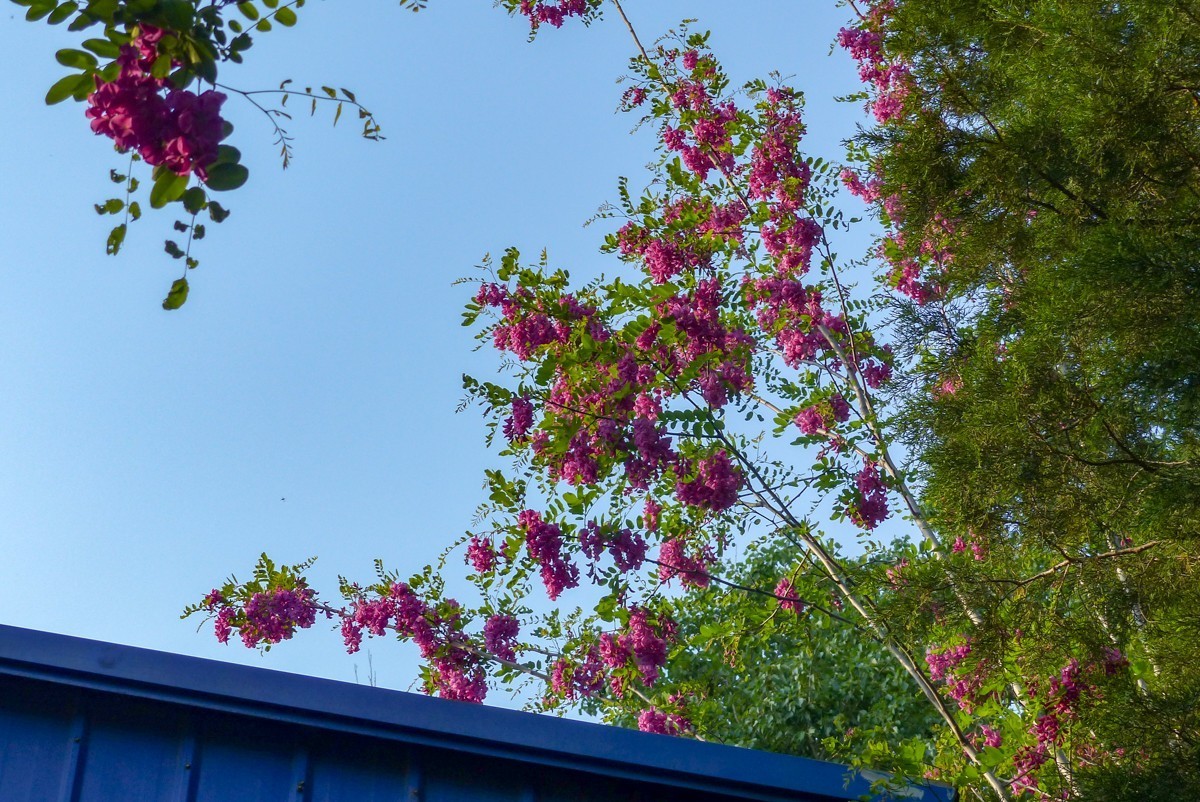 202566闲拍