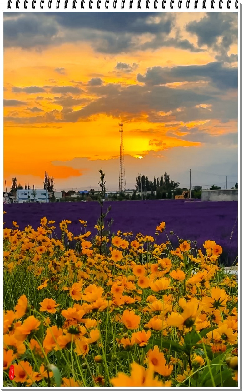 2025年-新疆风光纪实抓拍-0508