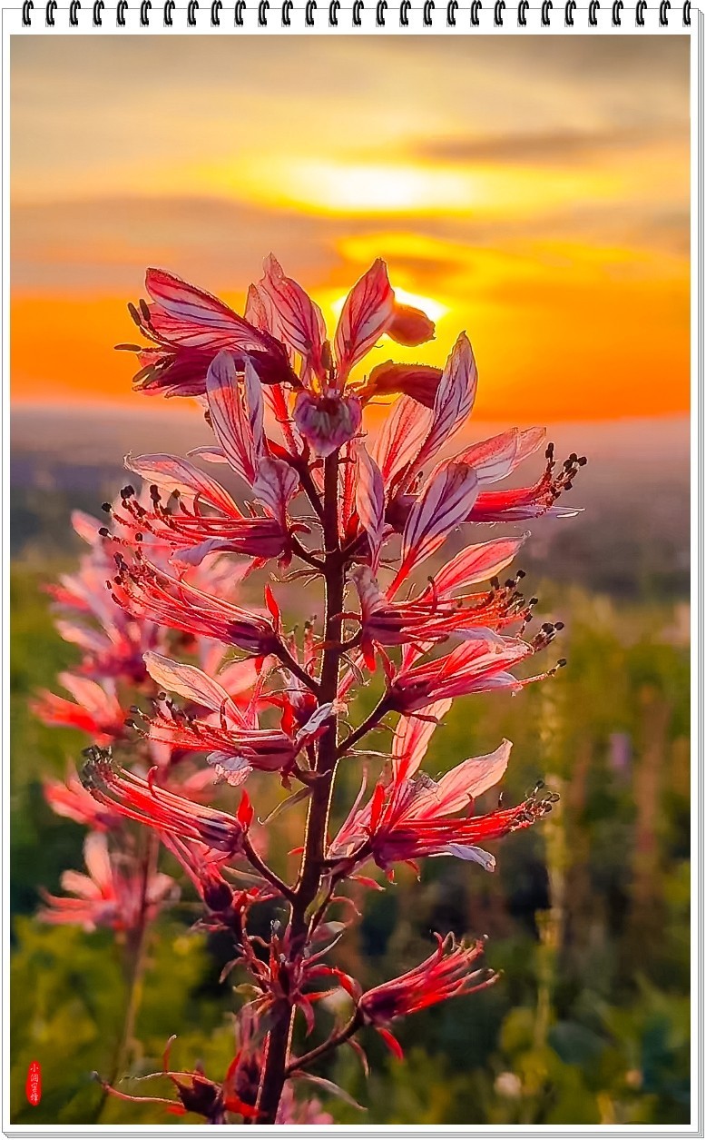 2025年-新疆风光纪实抓拍-0508