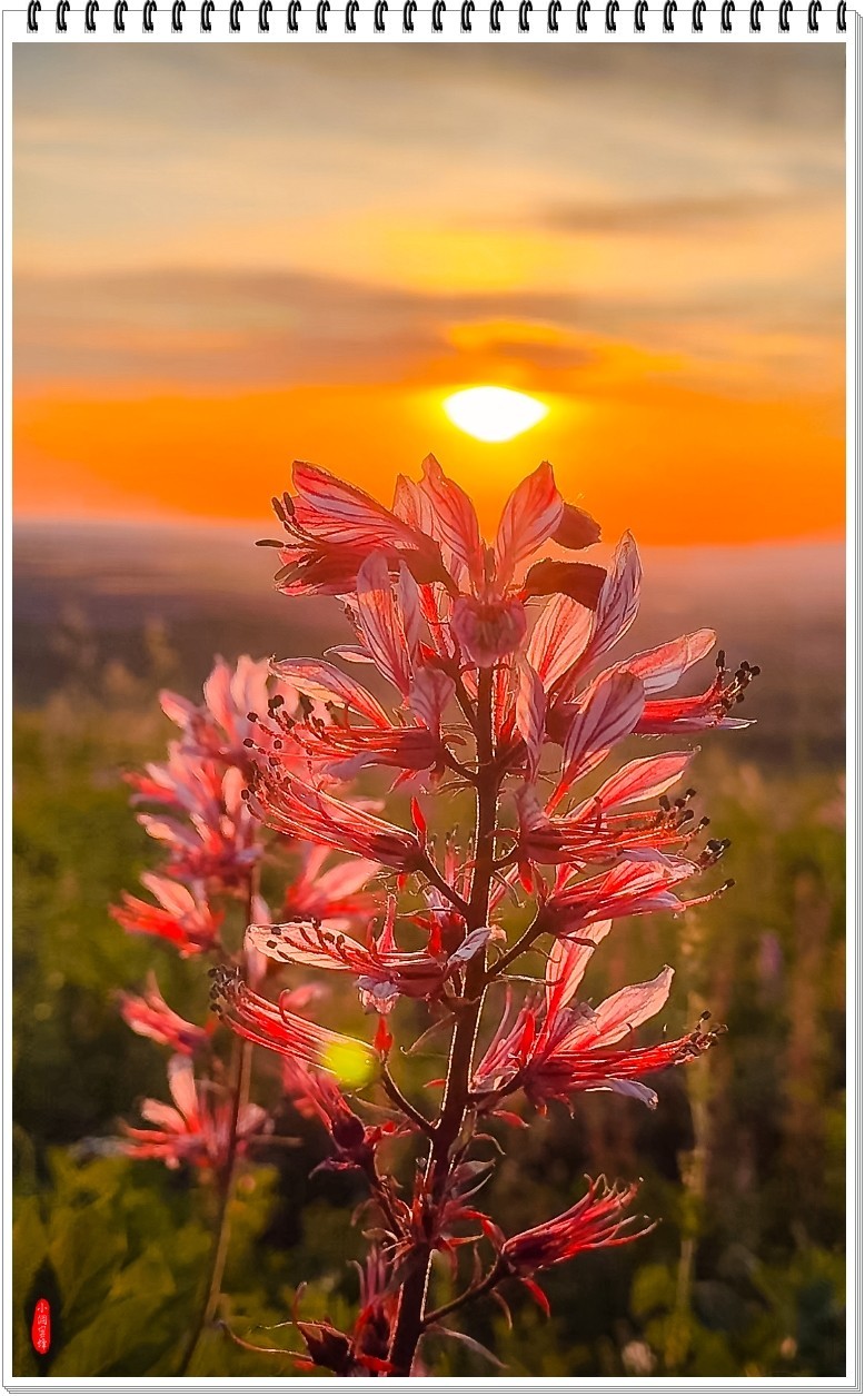 2025年-新疆风光纪实抓拍-0508