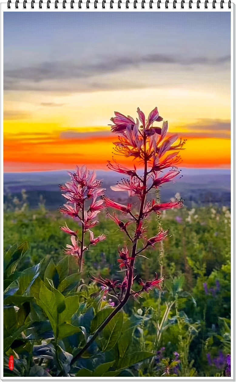 2025年-新疆风光纪实抓拍-0508