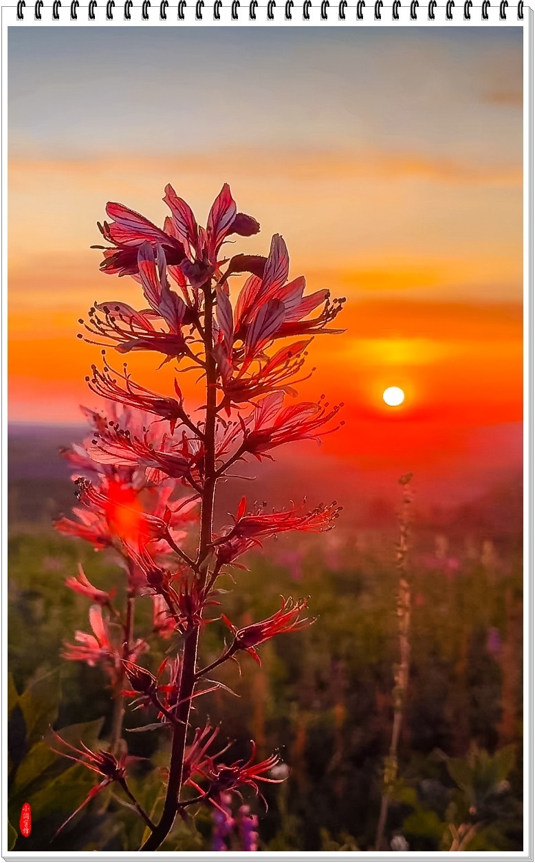 2025年-新疆风光纪实抓拍-0508