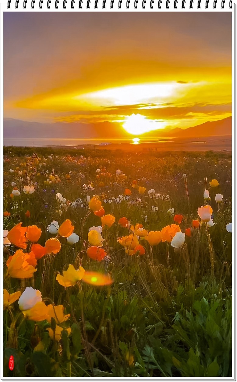 2025年-新疆风光纪实抓拍-0508