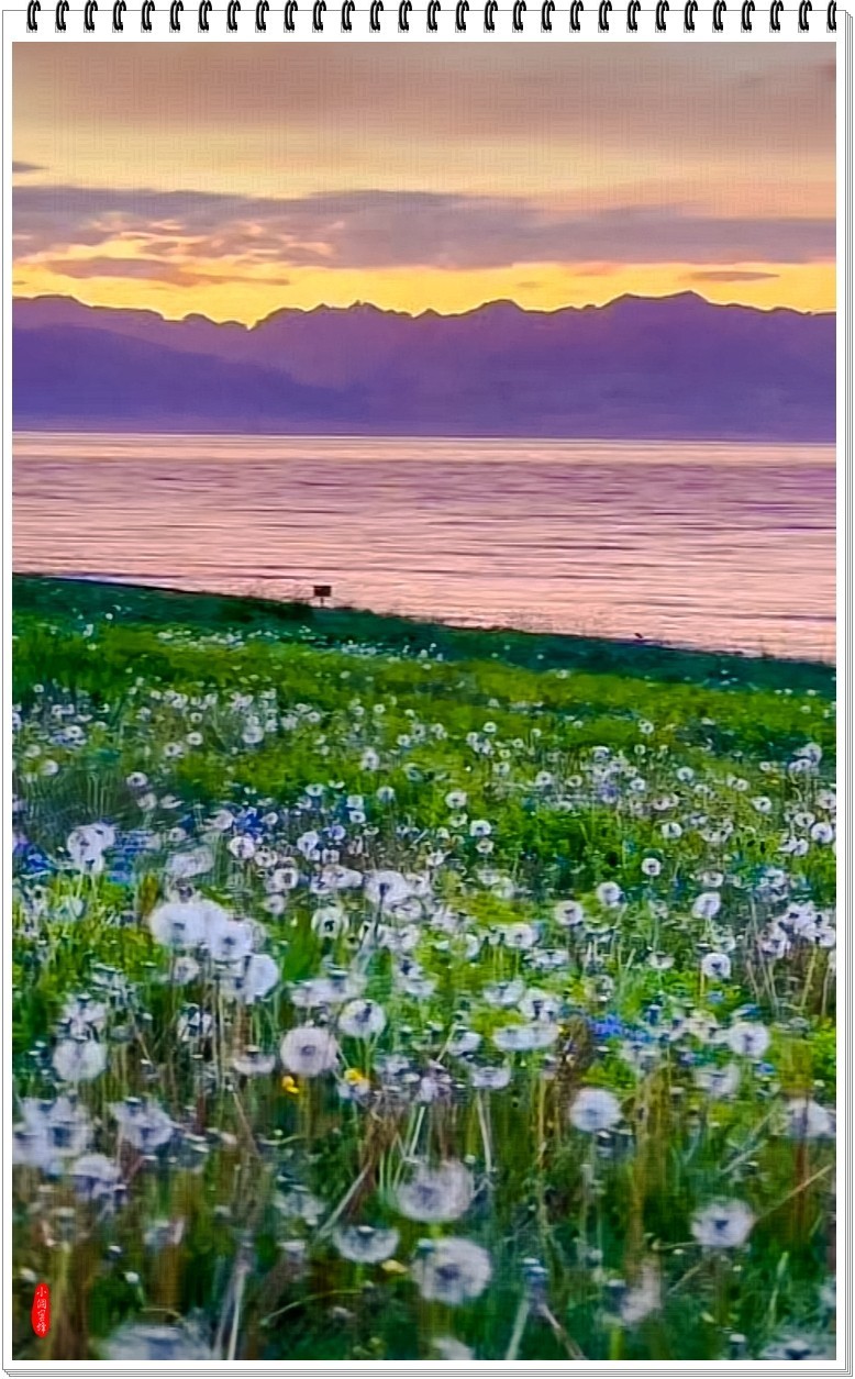 2025年-新疆风光纪实抓拍-0508