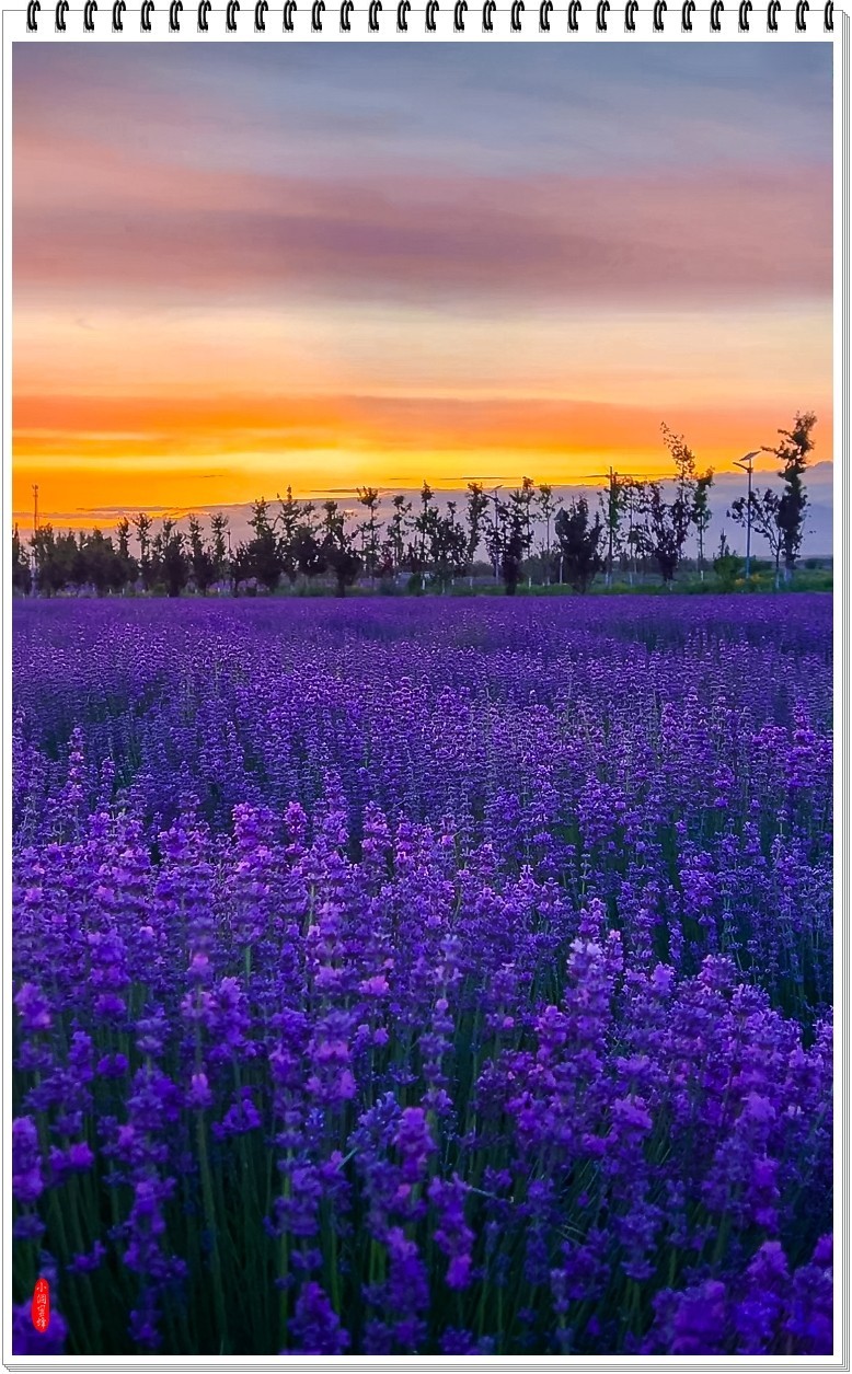 2025年-新疆风光纪实抓拍-0509