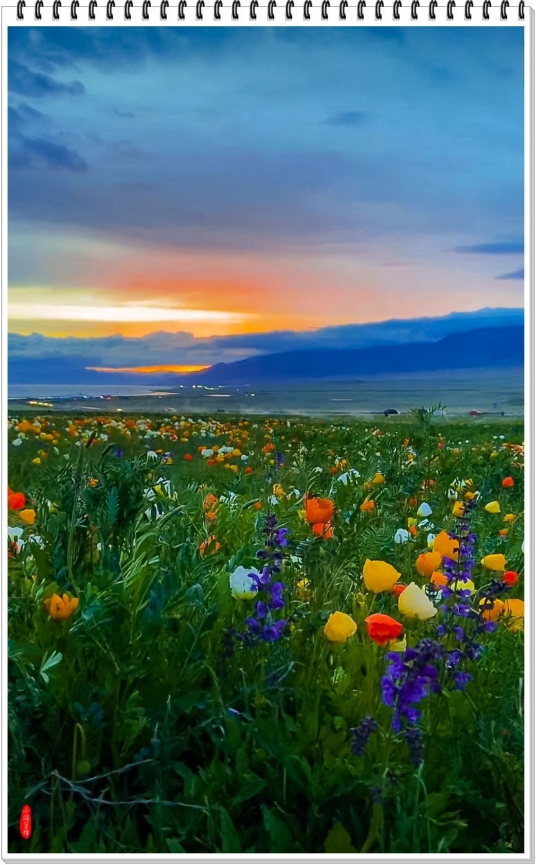 2025年-新疆风光纪实抓拍-0509