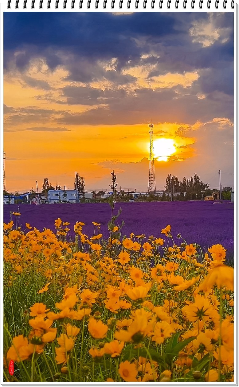 2025年-新疆风光纪实抓拍-0509