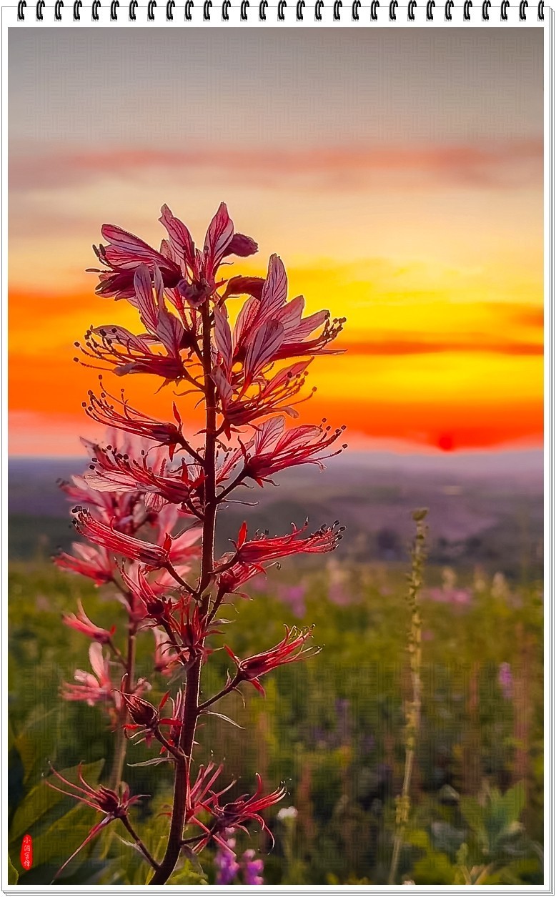 2025年-新疆风光纪实抓拍-0509