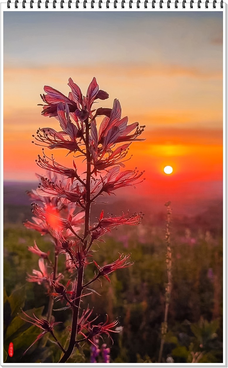2025年-新疆风光纪实抓拍-0509