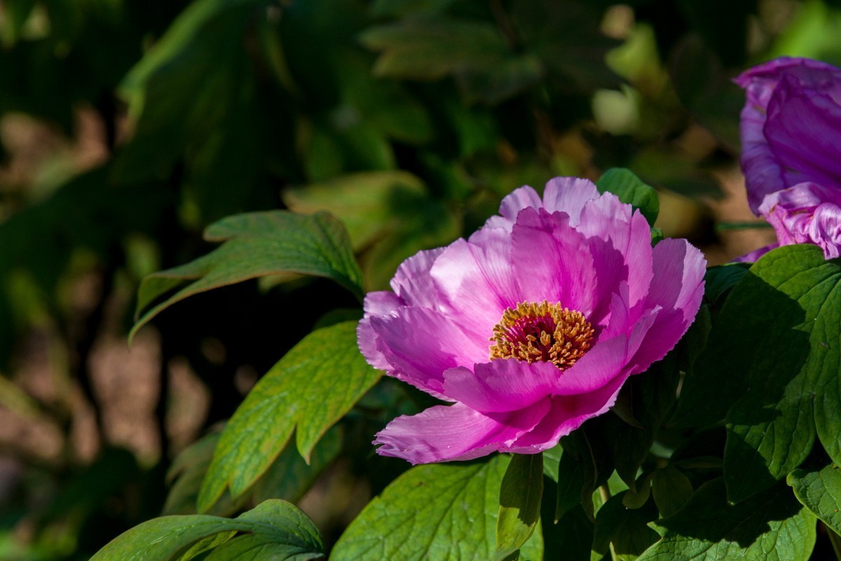 外出随拍（406）.