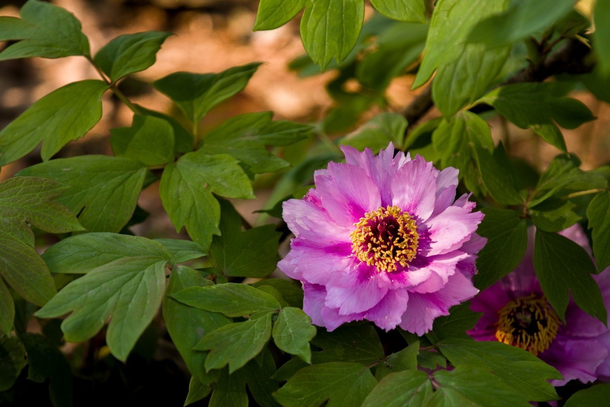 外出随拍（406）.