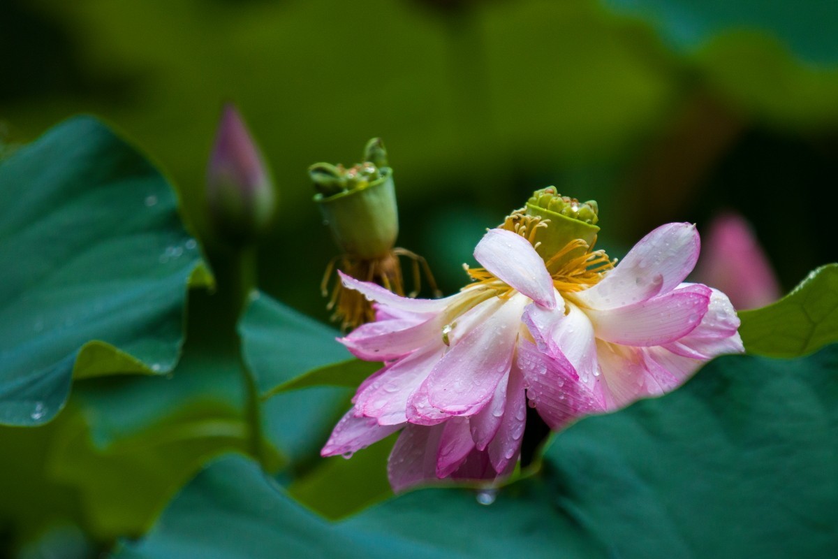 外出随拍（406）.