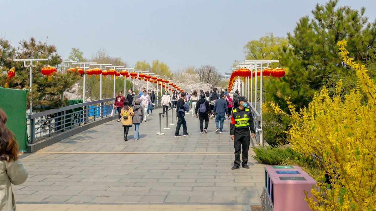 春游玉渊潭20220404 《23》