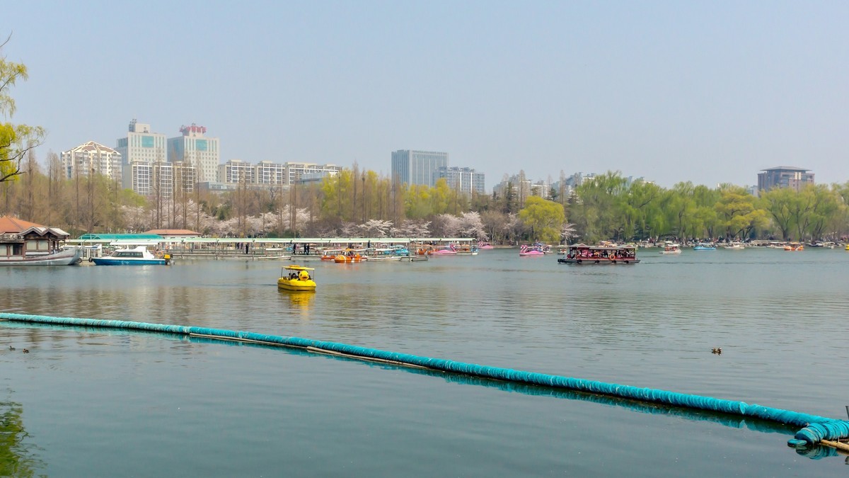 春游玉渊潭20220404 《23》