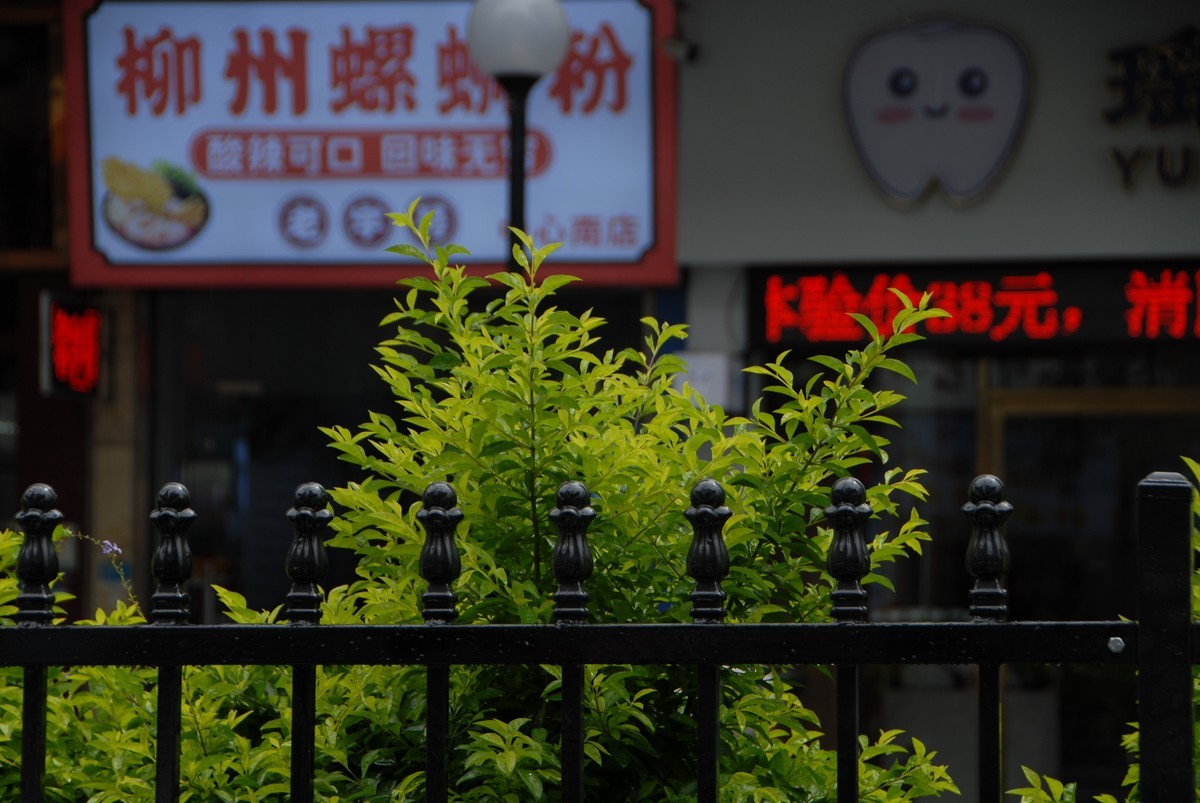 继续尝试上传图片D200+18-200