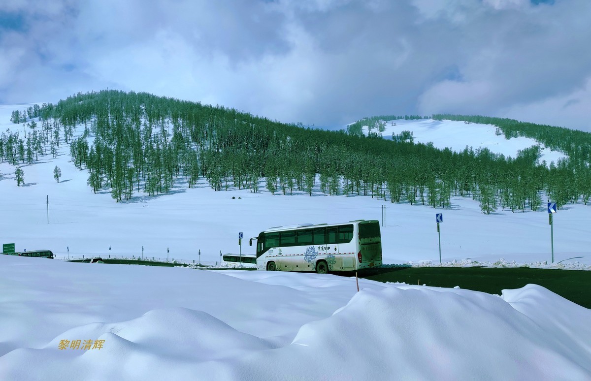 早春北疆之旅（83）：喀纳斯景区（手机）—12