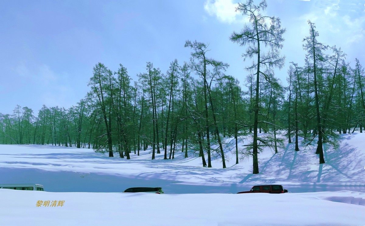 早春北疆之旅（83）：喀纳斯景区（手机）—12