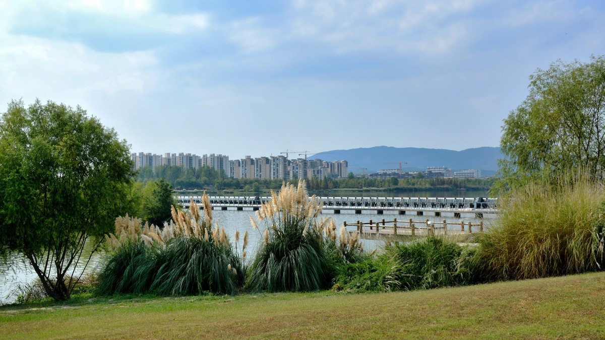 湿地公园秋拍（2025004）