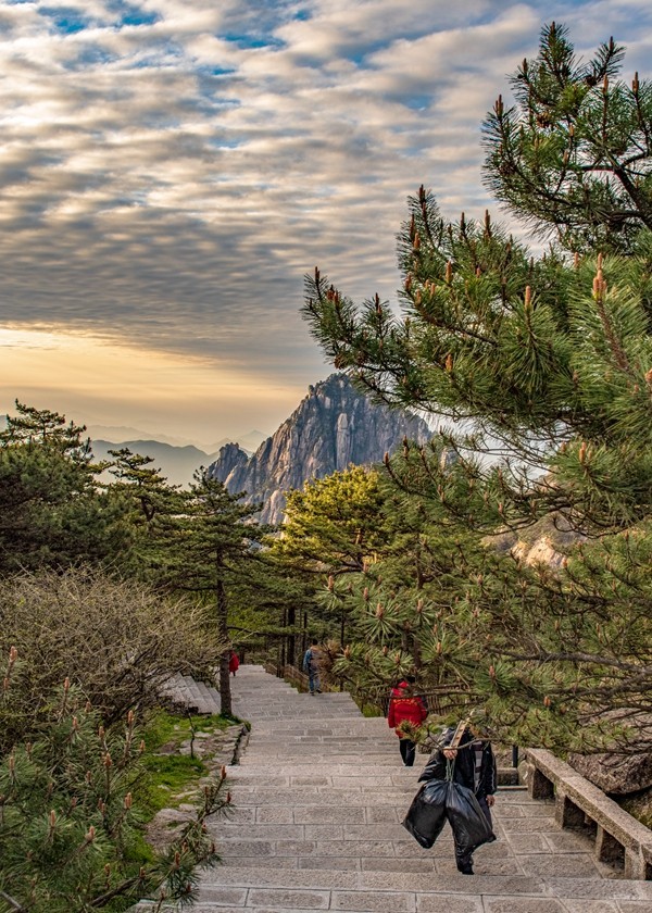 黄山--峰峦随镜入画图【1】