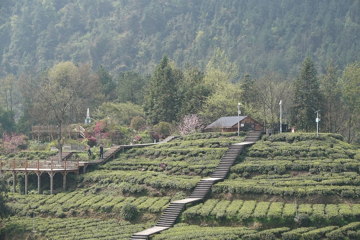 恩施伍家台景色游拍