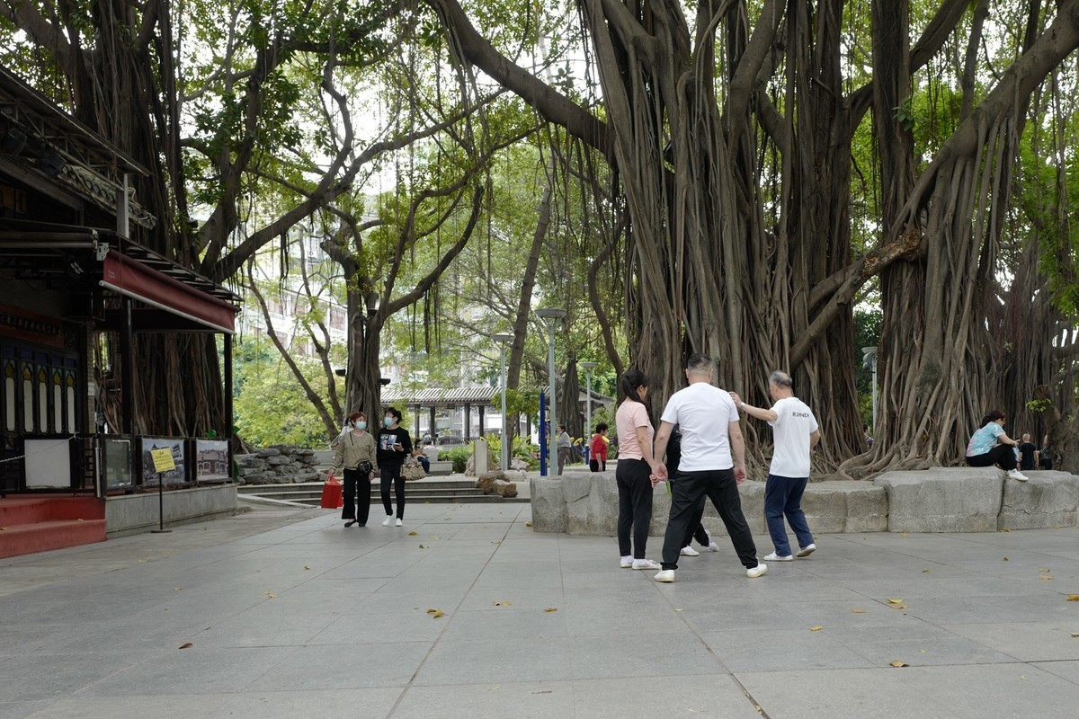 荔湾湖公园随拍（3.15）（12）