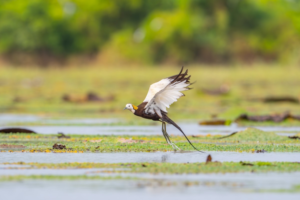 长大后我就成了你