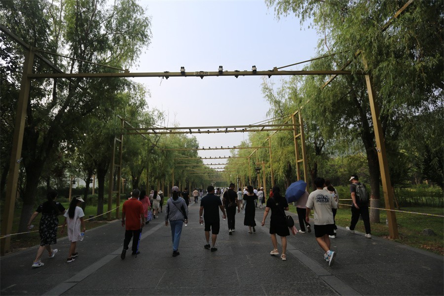 街拍星期天的洛阳龙门石窟景区