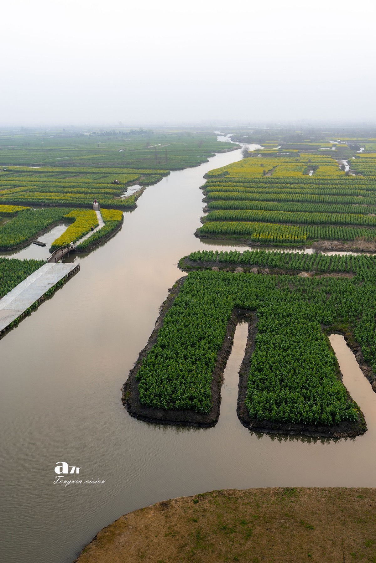 三月下江南——兴化千垛花海（8）
