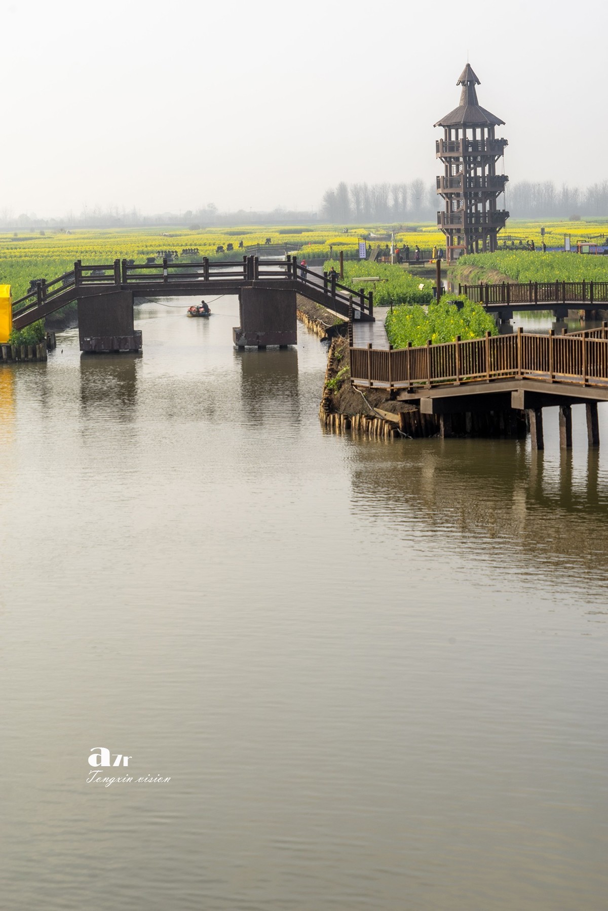 三月下江南——兴化千垛花海（8）