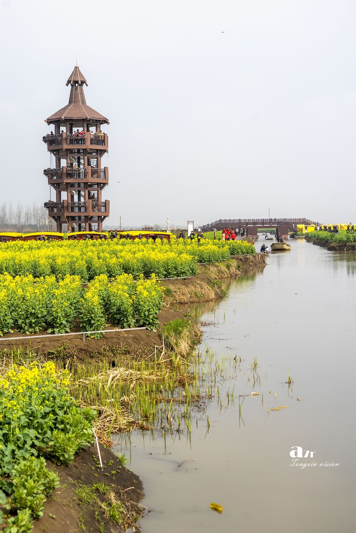 三月下江南——兴化千垛花海（8）