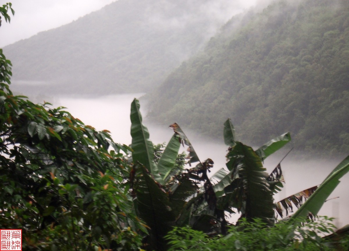 2024.6.27墨脱路拍（20）