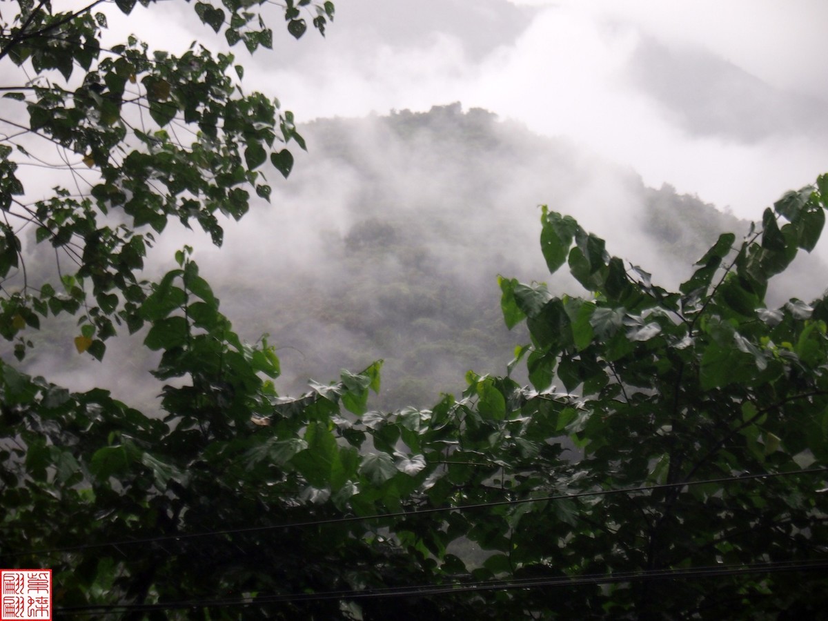 2024.6.27墨脱路拍（20）