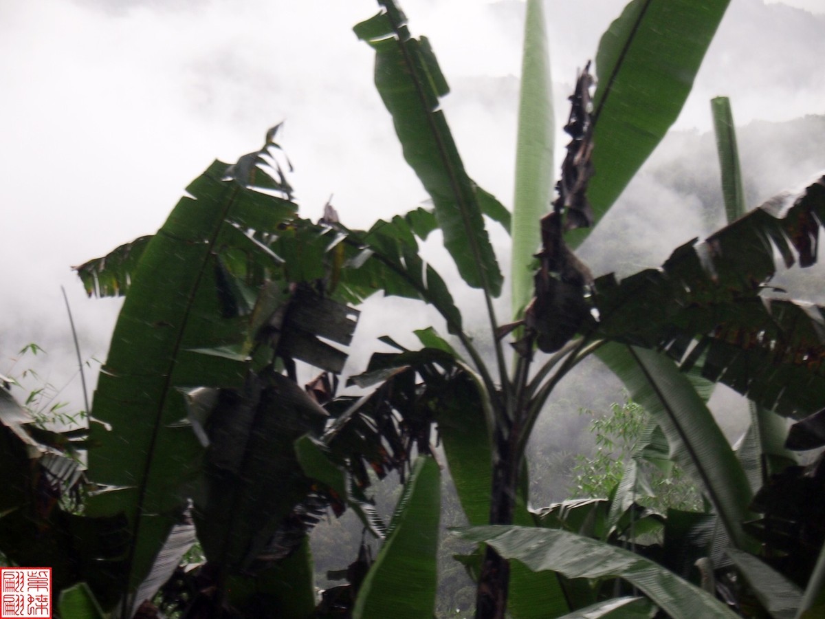 2024.6.27墨脱路拍（20）