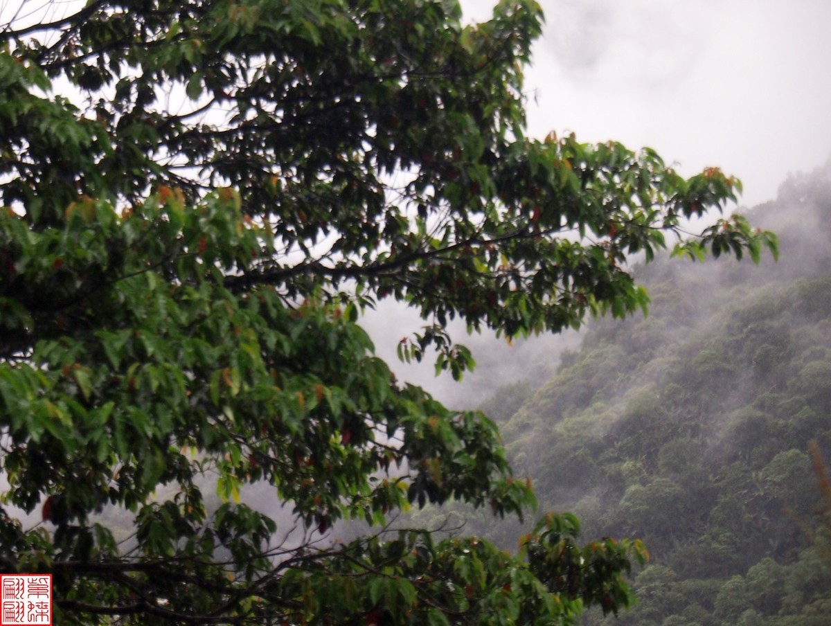 2024.6.27墨脱路拍（20）