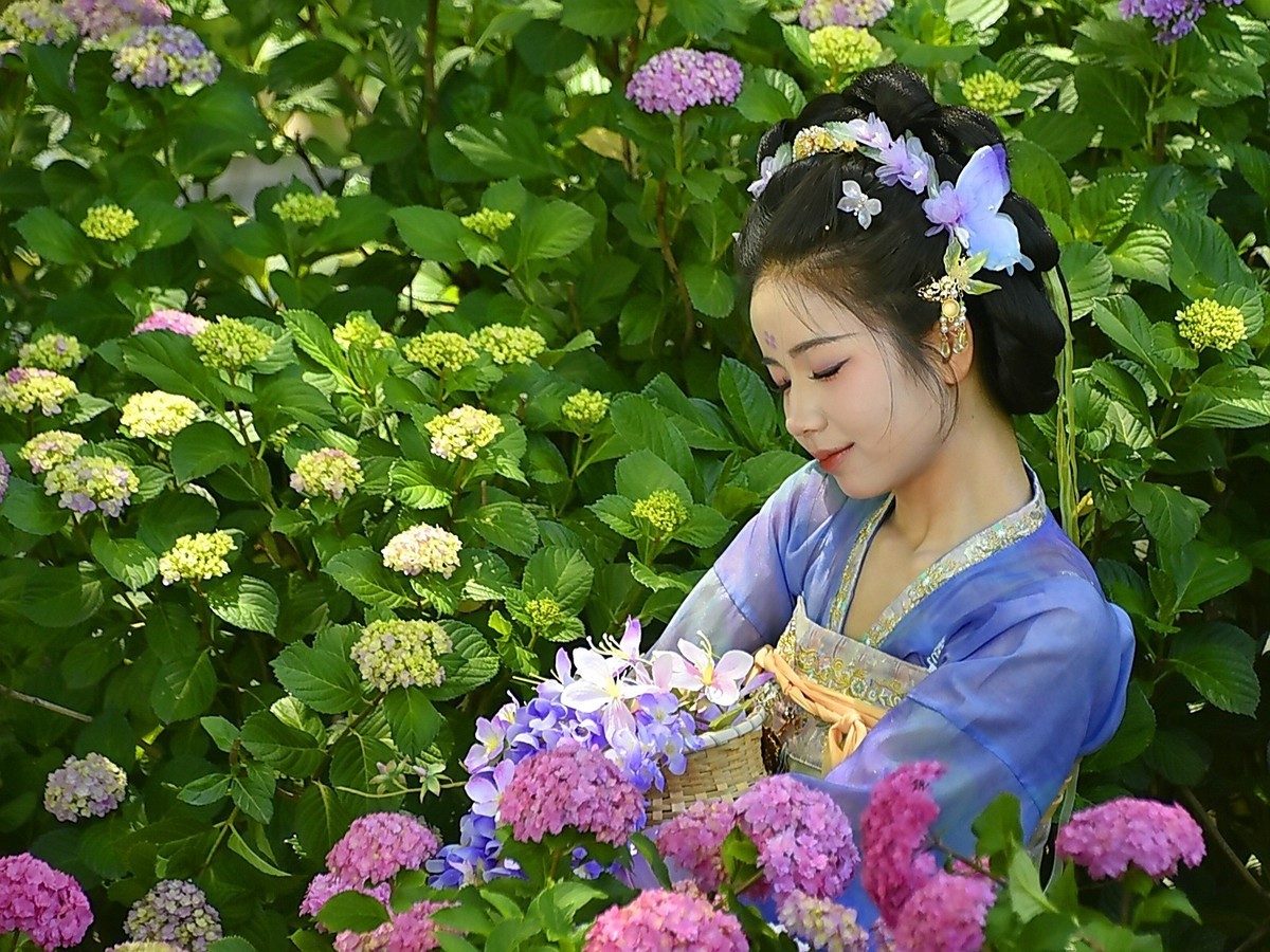 又遇曾蹭拍过的佳人