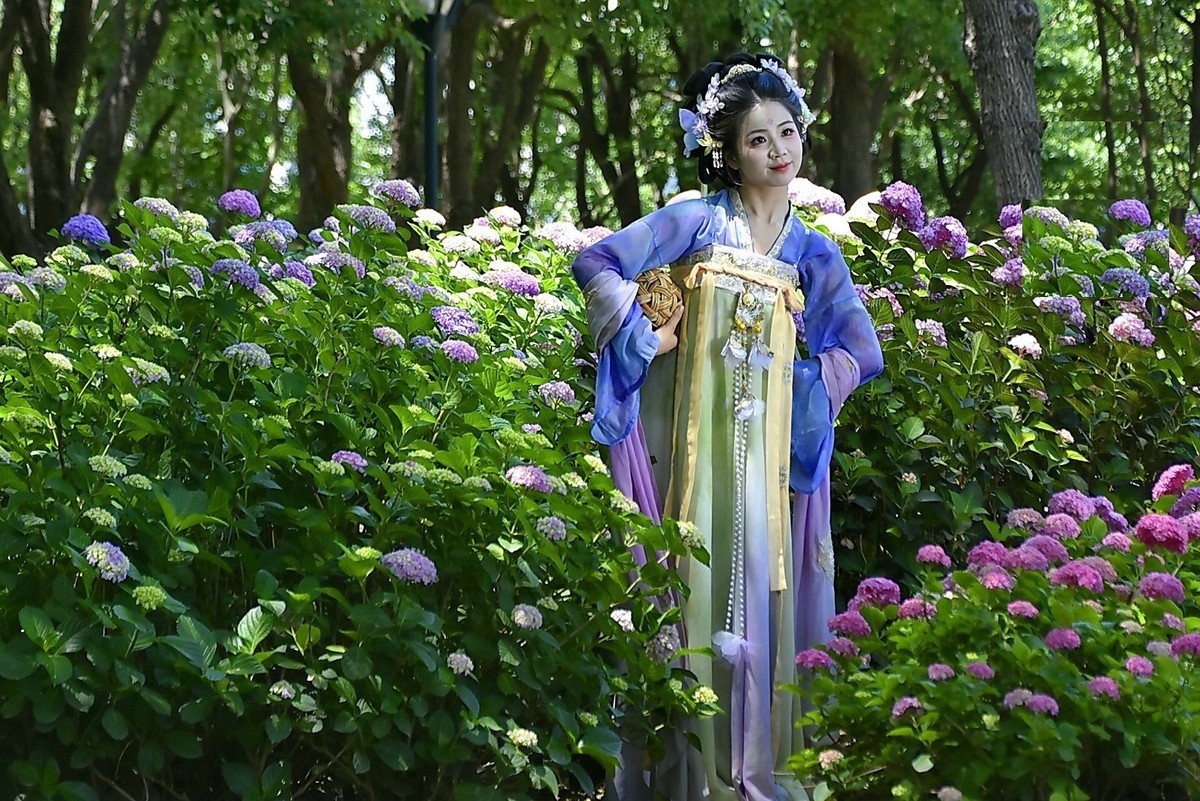 又遇曾蹭拍过的佳人