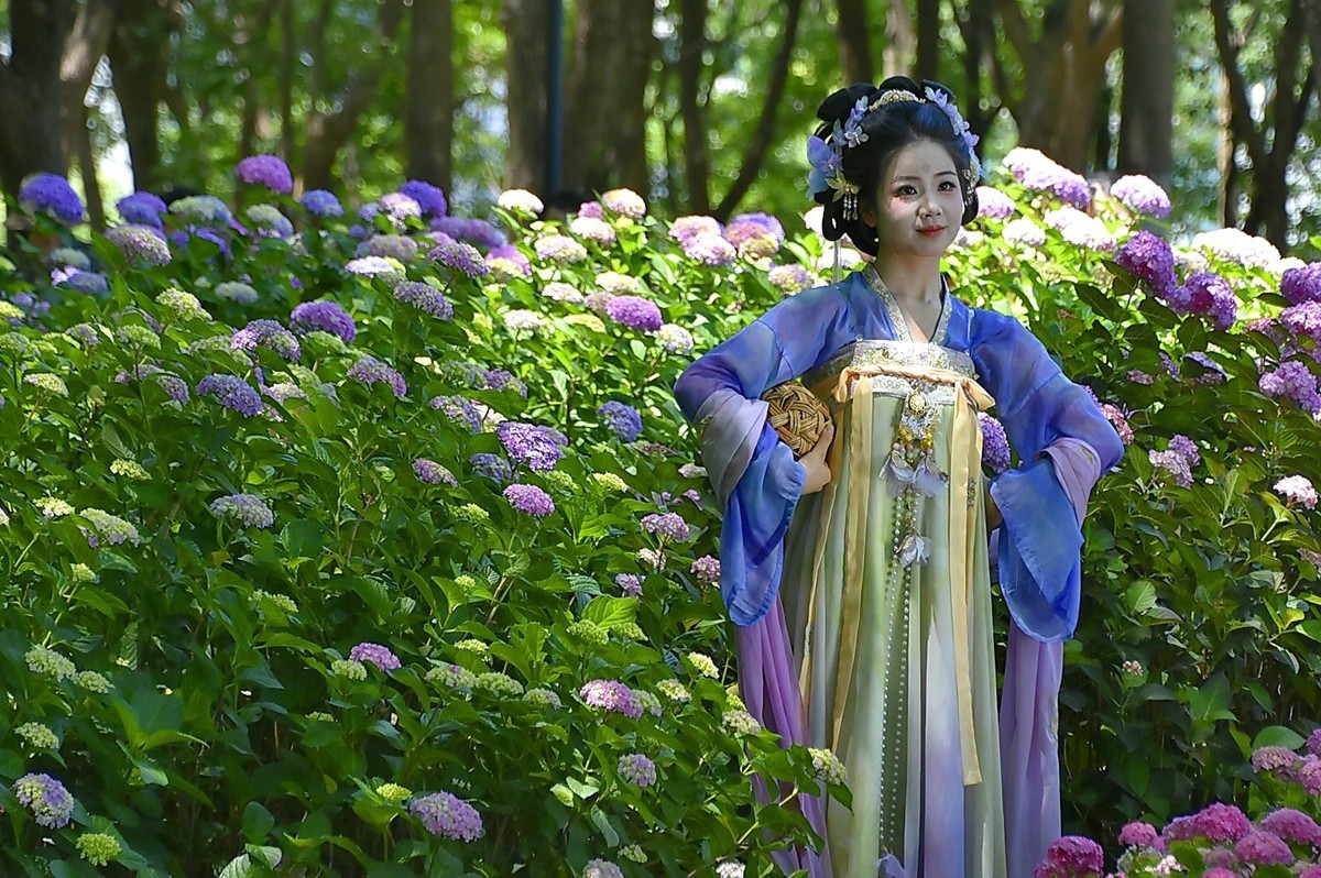 又遇曾蹭拍过的佳人