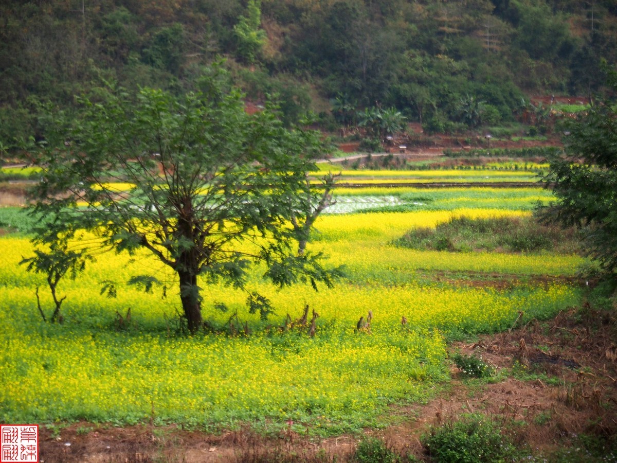 2023.12.22坝美随拍（15）