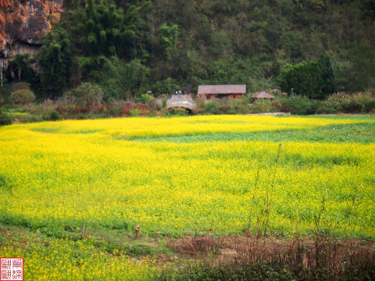 2023.12.22坝美随拍（15）