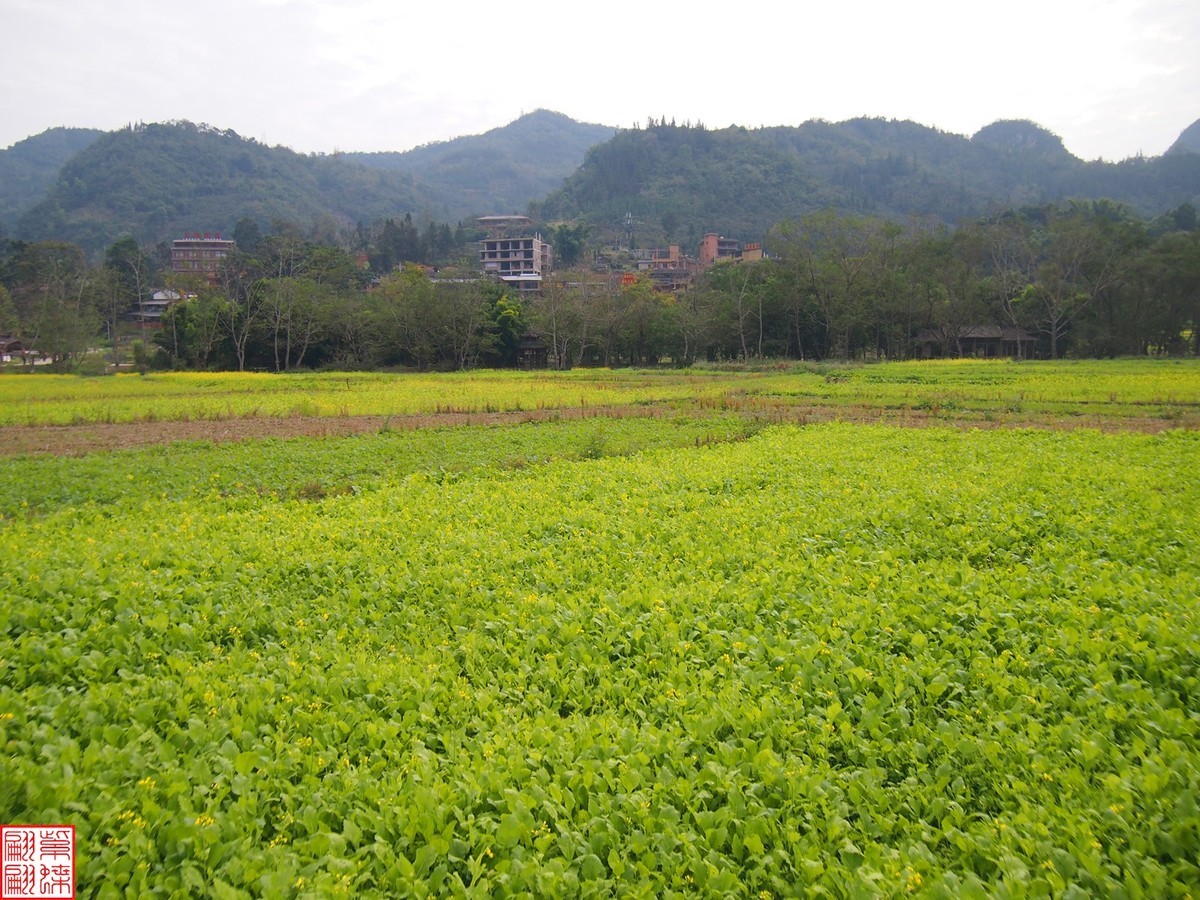 2023.12.22坝美随拍（15）