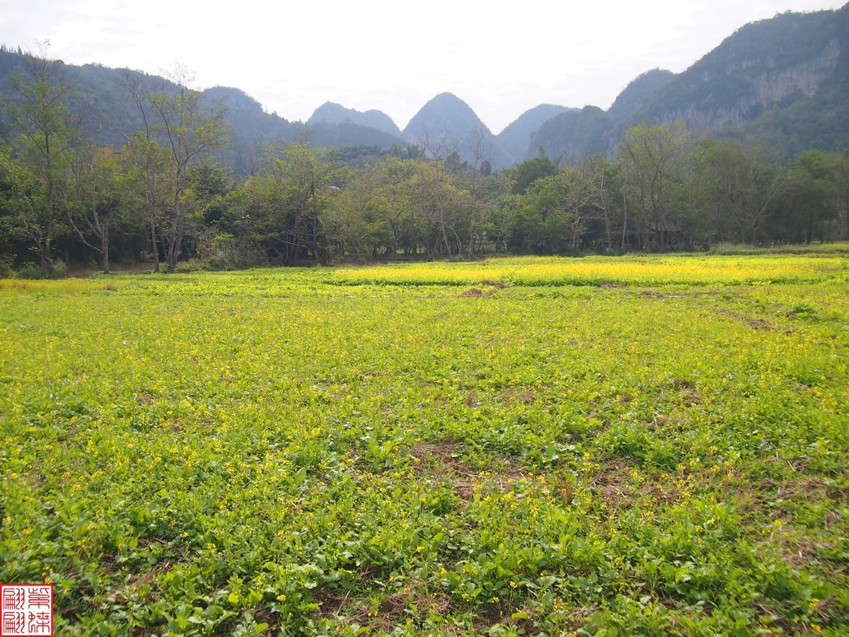 2023.12.22坝美随拍（15）