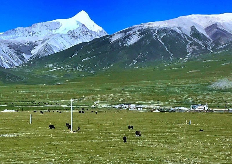 【不老松:游摄纪实】:〔02〕西藏风情!初识兰天、白雲、青山、雪山!