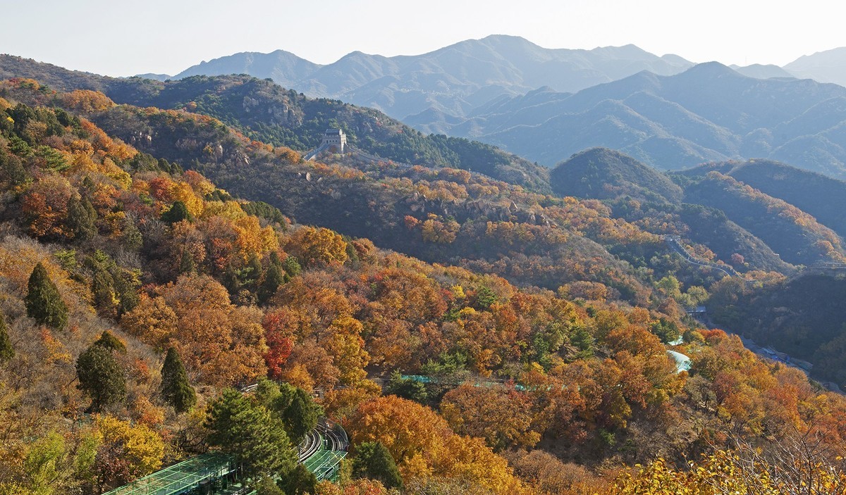 满山红叶映长城—八达岭长城