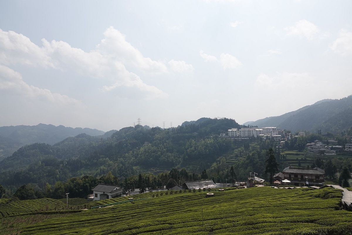 恩施伍家台景色游拍