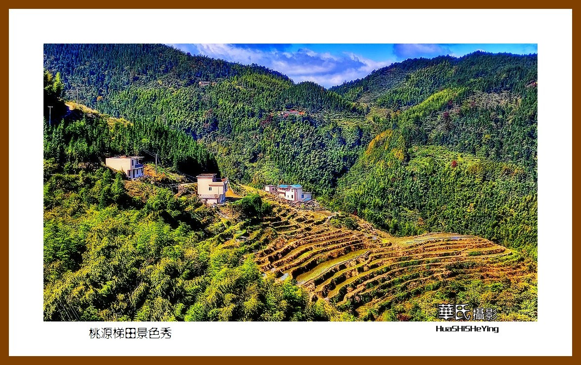 遂川桃源梯田门票图片