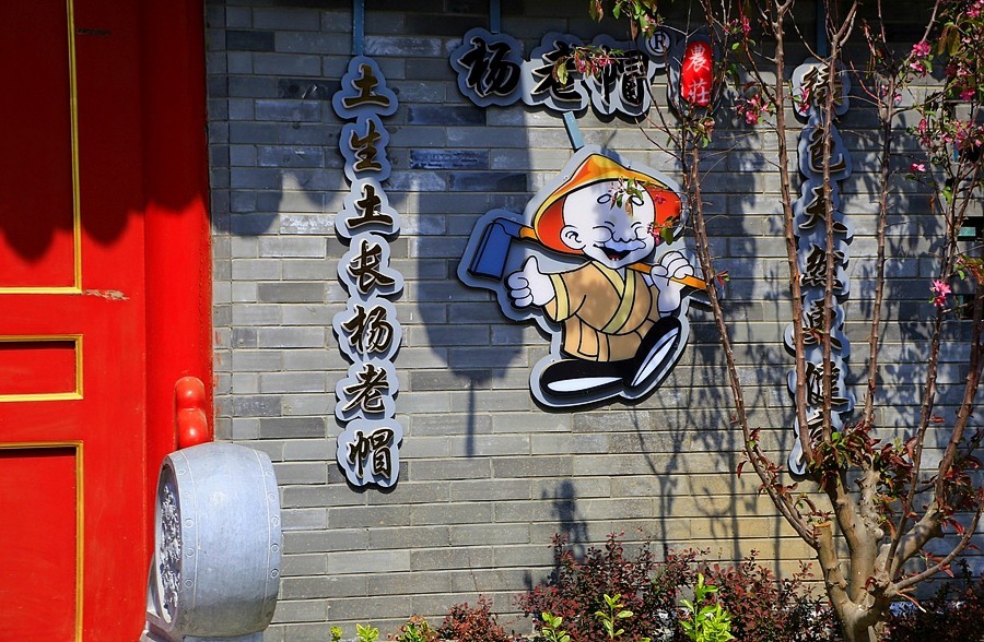 《不老松：纪实摄影》大美沧州系列報道：南川楼补片！ (7)开村后所拍：各门市商店都开