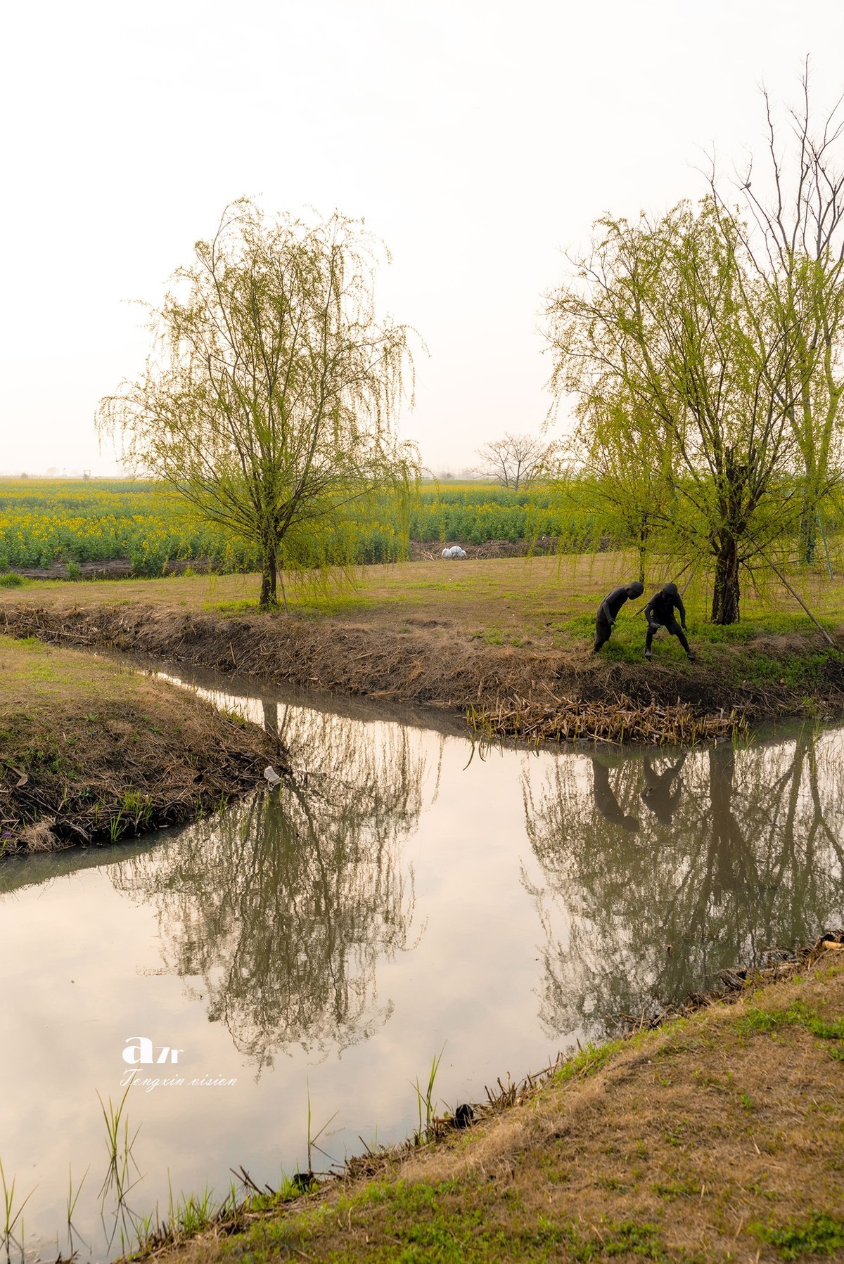三月下江南——兴化千垛花海（8）