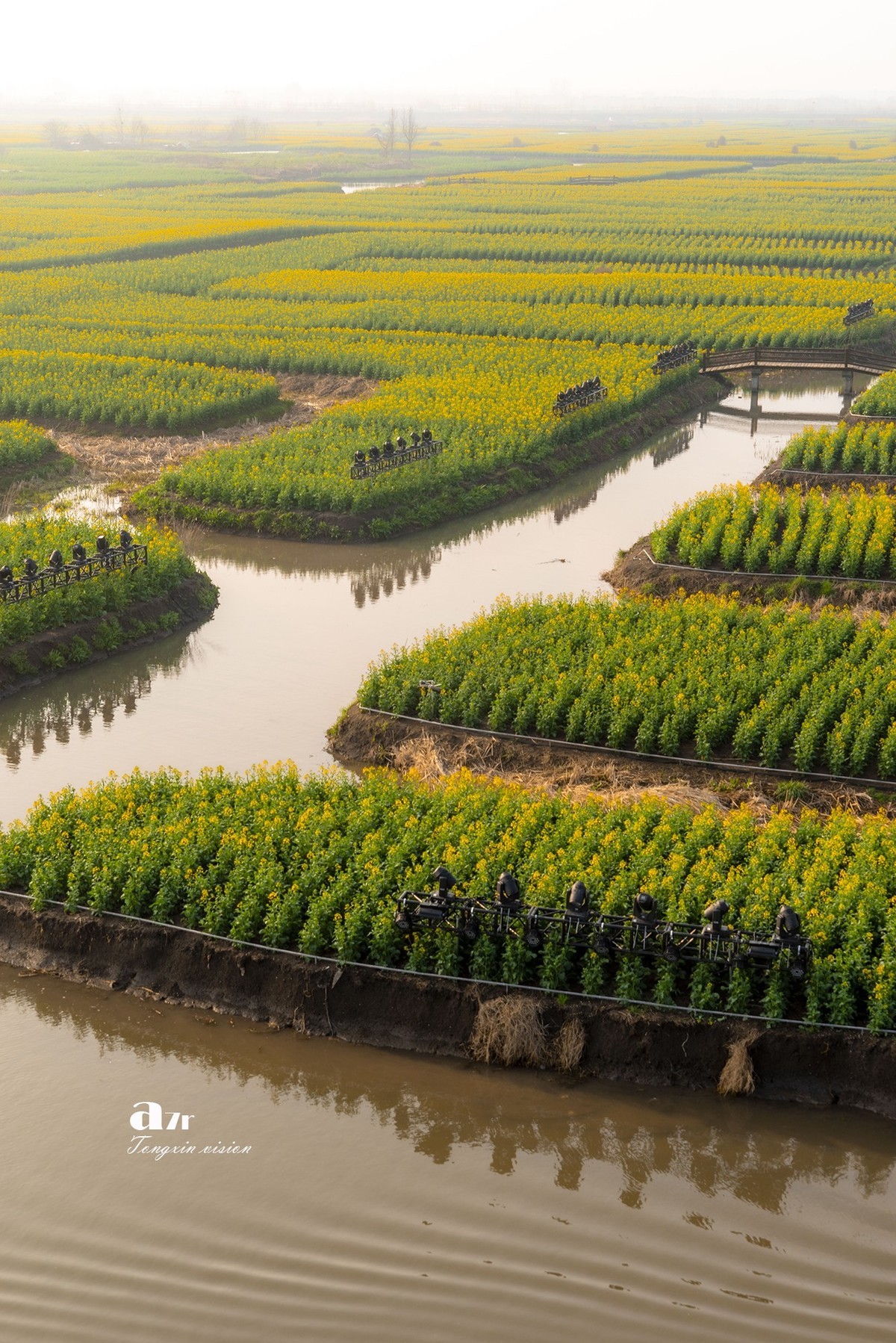 三月下江南——兴化千垛花海（8）